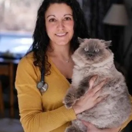 Dr. Jessica Dias of Northampton Veterinary Clinic inside a building, holding a cat